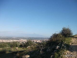 tapiccola-13-01-2013 09-12-11